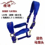 Bride de cheval, produit, petite tte de dragon poney, morsure, equipement d'quitation confortable et ...