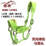 Bride de cheval, produit, petite tte de dragon poney, morsure, equipement d'quitation confortable et ...