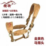 Bride de cheval, produit, petite tête de dragon poney, morsure, equipement d'équitation confortable et ... Bride de cheval, produit, petite tête de dragon poney, morsure, equipement d'équitation confortable et ...