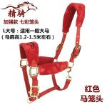 Bride de cheval, produit, petite tte de dragon poney, morsure, equipement d'quitation confortable et ...