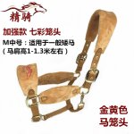 Bride de cheval, produit, petite tte de dragon poney, morsure, equipement d'quitation confortable et ...