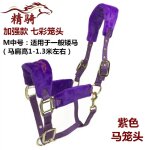 Bride de cheval, produit, petite tte de dragon poney, morsure, equipement d'quitation confortable et ...