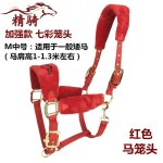 Bride de cheval, produit, petite tête de dragon poney, morsure, equipement d'équitation confortable et ... Bride de cheval, produit, petite tête de dragon poney, morsure, equipement d'équitation confortable et ...