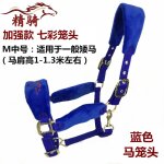 Bride de cheval, produit, petite tte de dragon poney, morsure, equipement d'quitation confortable et ...