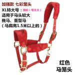 Bride de cheval, produit, petite tte de dragon poney, morsure, equipement d'quitation confortable et ...