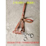 Bride d'entranement equestre pour cheval, fournitures sfp, durable et confortable, avec leurs propres ...