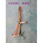 Bride d'entranement equestre pour cheval, fournitures sfp, durable et confortable, avec leurs propres ...
