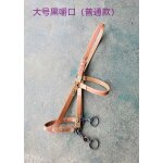 Bride d'entranement equestre pour cheval, fournitures sfp, durable et confortable, avec leurs propres ...