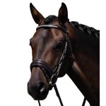 Bride equitation anatomique premier equine castello