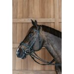 Bride equitation dy'on working motion