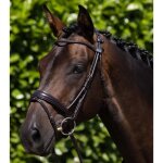 Bride equitation premier equine finetti