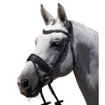 Bride equitation premier equine veneto