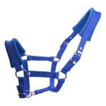Bride rembourre pour equitation, licou epais, serre - tte, collier, equitation stable