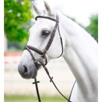 Bridons pour cheval frontal bomb� rond bouclerie inox dasl�