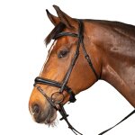 Bridon d'�quitation anatomique harry's horse soft carbon poney mixte noir