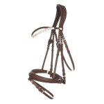 Bridon equitation anatomique kavalkade everlyn