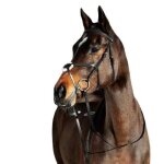 Bridons equitation pour cheval a muserolle pour cheval crois�e horze prescott