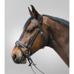 Bridon equitation pour cheval star diamond