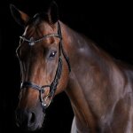 Bridons equitation en cristal weatherbeeta collegiate comfitec cob mixte noir