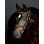 Bridon equitation hanovrienne rembourr�e collegiate comfitec opulux fancy stitch