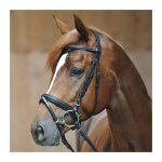 Bridons equitation kavalkade ravenna