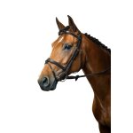 Bridon equitation muserolle combin�e dy'on