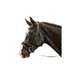 Bridon equitation muserolle combin�e large verniss� dy'on