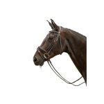 Bridon equitation muserolle combin�e large verniss� dy'on