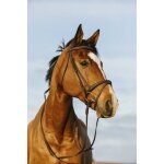 Bridon equitation muserolle combin�e riding world