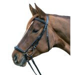 Bridon equitation muserolle combin�e star hannover