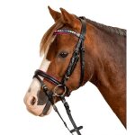 Bridon equitation muserolle combin�e star pinky
