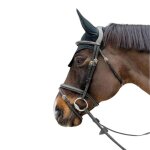 Bridon equitation muserolle combin�e tr�ss�e dy'on