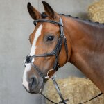 Bridon equitation muserolle crois�e mexicaine anatomique harry's horse