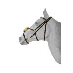 Bridon equitation muserolle crois�e mexicaine anatomique hfi