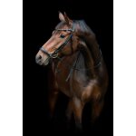 Bridon equitation avec muserolle tombante horseguard cryll 25. 2
