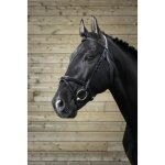 Bridons equitation norton pro fin