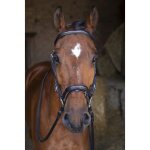 Bridon eric thomas hybrid forme - couleur : noir, taille : pur - sang Bridon eric thomas hybrid forme - couleur : noir, taille : pur - sang