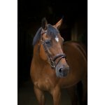 Bridon eric thomas pro wave - couleur : noir, taille : pur - sang Bridon eric thomas pro wave - couleur : noir, taille : pur - sang