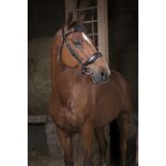 Bridon norton pro confort - couleur : noir, taille : cheval Bridon norton pro confort - couleur : noir, taille : cheval