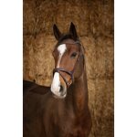 Bridon norton pro perle - couleur : noir, taille : cheval Bridon norton pro perle - couleur : noir, taille : cheval