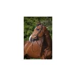Bridon riding world muserolle française Bridon riding world muserolle française