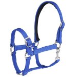 Cavassion - bride equestre rglable pp, equipement de sellerie, licou pour cheval, equitation - type ...