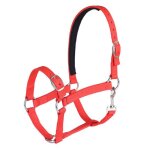 Cavassion - bride equestre rglable pp, equipement de sellerie, licou pour cheval, equitation - type ...