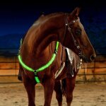 Ceinture d'équitation en nylon sfp led, equipement d'équitation visible la nuit, plastron cheval extérieur, ... Ceinture d'équitation en nylon sfp led, equipement d'équitation visible la nuit, plastron cheval extérieur, ...