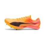 Chaussures d'athl�tisme evospeed distance nitro? elite + 4 - 43