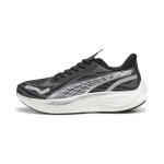 Chaussures de running velocity nitro? 3 homme - 45