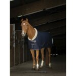 Chemise polaire equithme teddy 6'6 marine, equitation, cheval