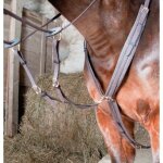 Collier de chasse biotack� martingale amovible marron cheval