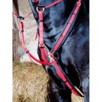 Collier de chasse biotack� martingale amovible rouge cheval