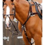 Collier de chasse pour cheval 5 points premier equine invorio